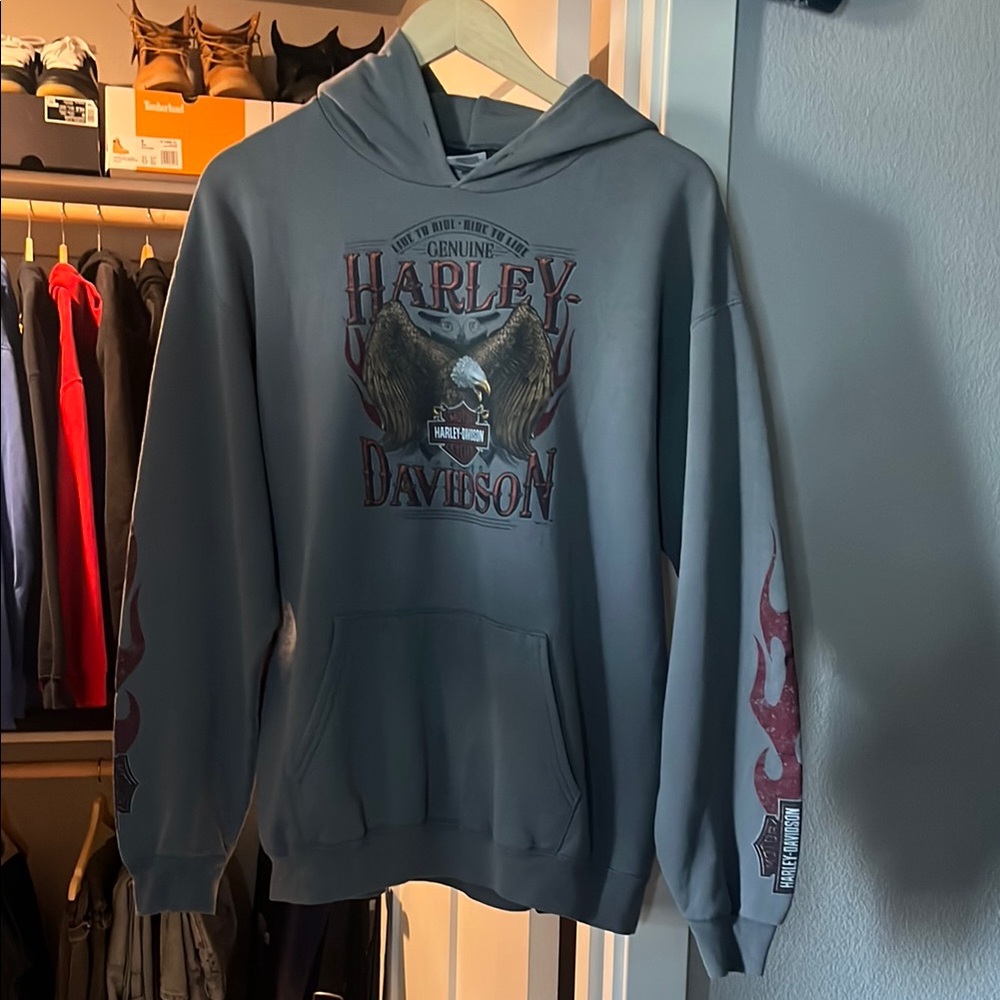 Harley-Davidson Gray Sweatshirt Hoodie Casual